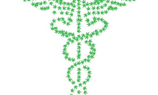 Cannabis thérapeutique : c’est pas OCB, mais CBD !